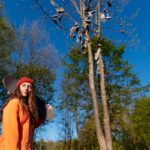 Sydney Tree Lopping: How Does It Protect Your Roof and Gutters?